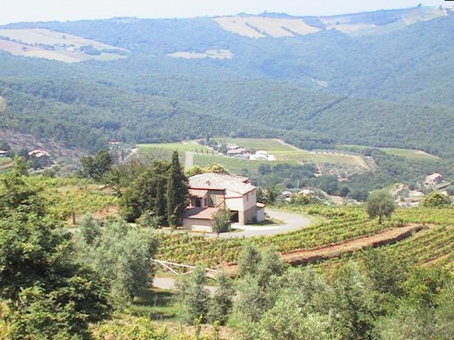 Podere Soccorso Montalcino Luaran gambar